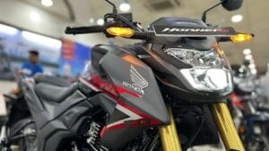 Honda Hornet 2.0 bike